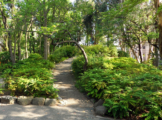 colettepark