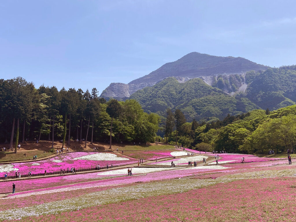 A view of Hitsujiyama Park and Mt. Buko, which towers across the garden’s skyline.